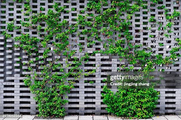 Plastic-to-Bricks Recycling Image 1